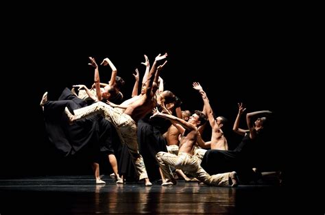  O “Taça de Laguna” Destaca-se na Intrincada Dança da Luz e Sombras!